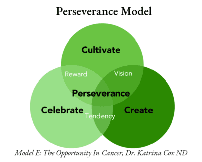 Perseverance Model, The Opportunity In Cancer, Physical Activity, Dr. Katrina Cox